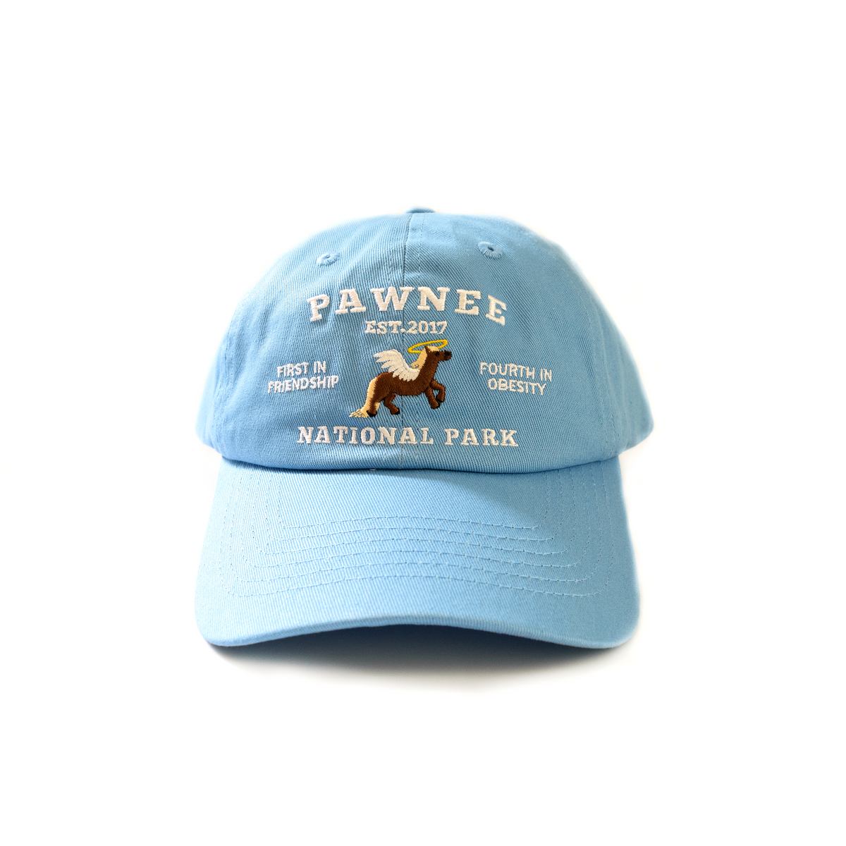 Pawnee National Park Twill Hat - Light Blue