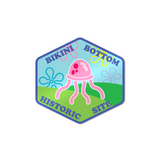 Bikini Bottom Historic Site Magnet